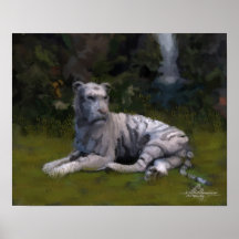 Cats Eye Poster