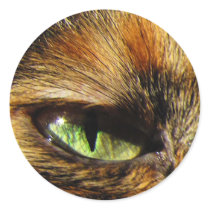 Cat's Eye Sticker