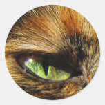 Cat's Eye Sticker
