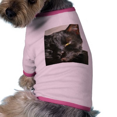 Cats Eyes Furry Whiskers Black Dog T-shirt by lifesphere