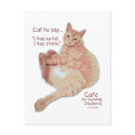 Cats for Nursing Students - I Has Stress Post Card