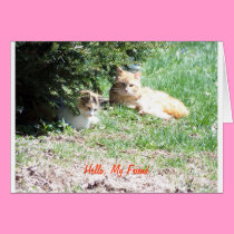 Cats Friends, Gem cards