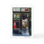 cat's holiday cards