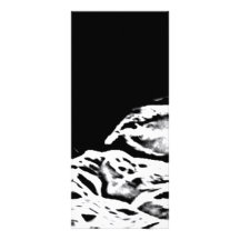 Cats in Black and White Custom Rack Cards