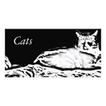 Cats in Black and White Customized Photo Card