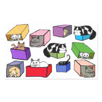 Cats in Colourful Boxes Sticker