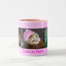 cats in hats. coffee mugs