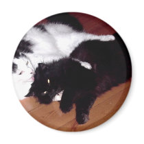 Cats in Love Magnet
