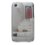 Cats in Sidi Bou Said Case-Mate iPhone 3 Cases
