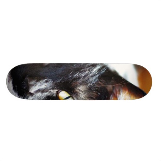 Cats Kitties Kitty Skateboard Decks