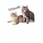 Cats Ladies T-Shirt PURRsonality