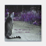 Cat's Philosophy Magnets