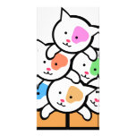 Cats Photo Card