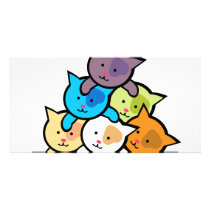 Cats