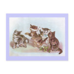 Cats Play Blind Man's Bluff Victorian Trade Card Postcards