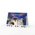 Cats Playing Piano cards