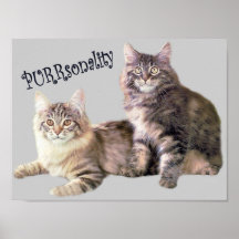 Cats Poster PURRsonality