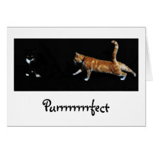 Cats, Purrrrrrrrfect Greeting Card