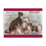 Cats Selling Cologne Victorian Trade Card Postcards
