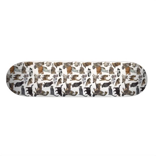 Cats Skateboards