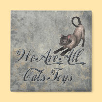 Cats Toys magnets