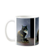 Cats whiskers mugs