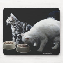 Cats with bowl of food mouse pads