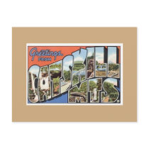 Catskill Mts. Vintage Postcard