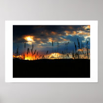 CatTail Sunrise