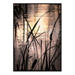 Cattails at Sunset ATC Business Card Templates