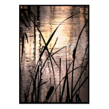 Cattails at Sunset ATC Business Card Templates