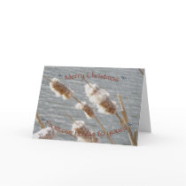 Cattails Merry Christmas Card