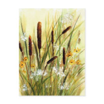 cattails postcard