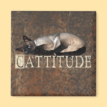Cattitude magnets
