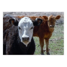 Cattle Calves - Shower Gift Registry - Western Business Card Templates