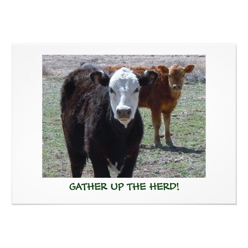 Cattle Calves - Western Shower Party Invitations