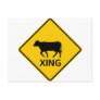 Cattle Crossing Highway Sign Postcard