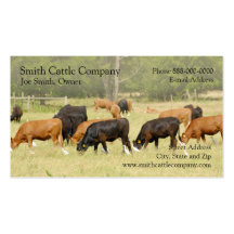 Cattle Dairy Farmer Business Card