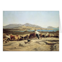 Cattle herding near Marseilles, 1853 (oil on canva Greeting Cards