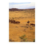 Cattle roundup custom stationery