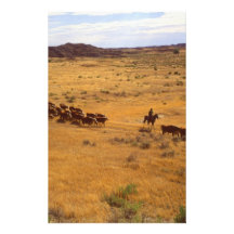 Cattle roundup custom stationery