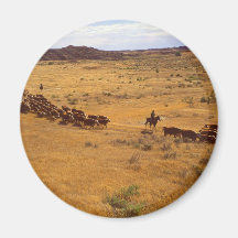 Cattle roundup magnets