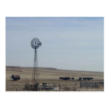 Cattle,Windmill and Ghost Post Card