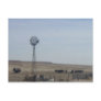 Cattle,Windmill and Ghost Post Card