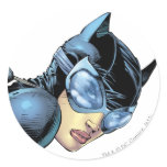 Catwoman Stare stickers