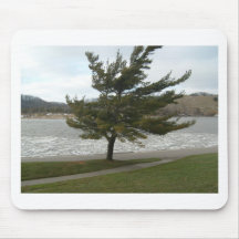 Caught in the Wind Mouse Pads
