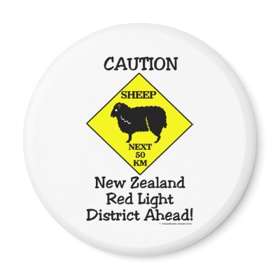 Caution NZ Red Light District by ParaphoenixDesign