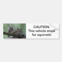 Caution: this vehicle stops for squirrels bumper sticker