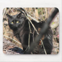 Cautious Star Noir Cat Mouse Pad
