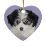 Cavachon Love Ceramic Ornament